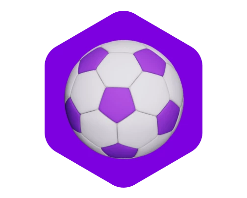 Sportsbook Platform Software